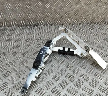 Mercedes-Benz SLC R172 Engine bonnet/hood hinges A1728800128