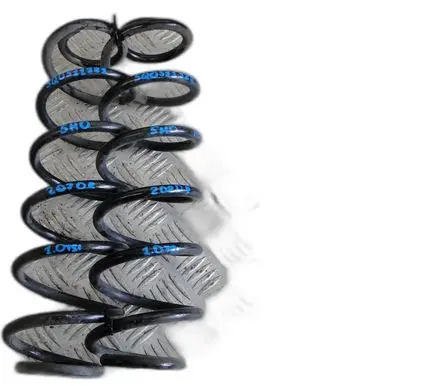 Volkswagen Golf VIII Rear coil spring 
