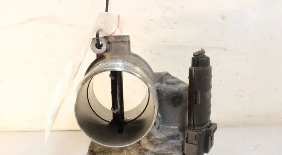 Throttle body valve