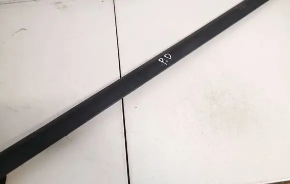 Front door trim (molding)