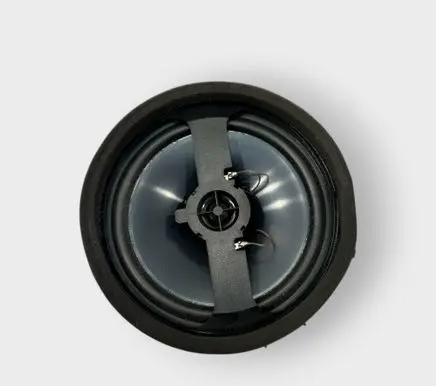 Rear door speaker