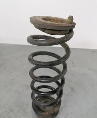Volkswagen PASSAT B7 Rear coil spring