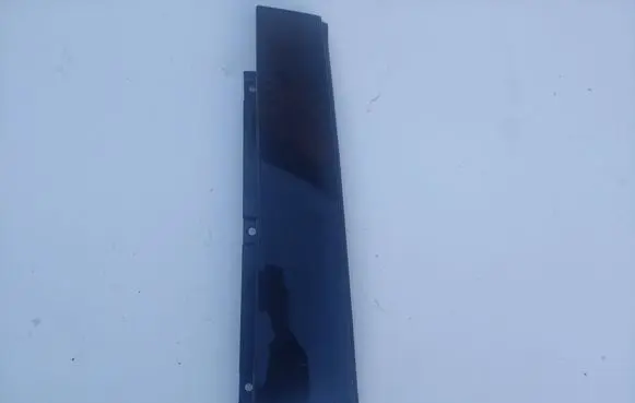 Rear door trim (molding)