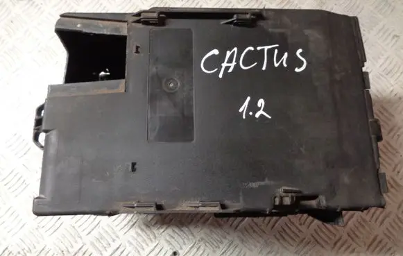 Citroen C4 Cactus Battery box tray 9801801880