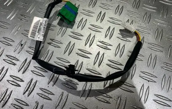 Renault Trafic II (X83) Other wiring loom 93450579 240463986R