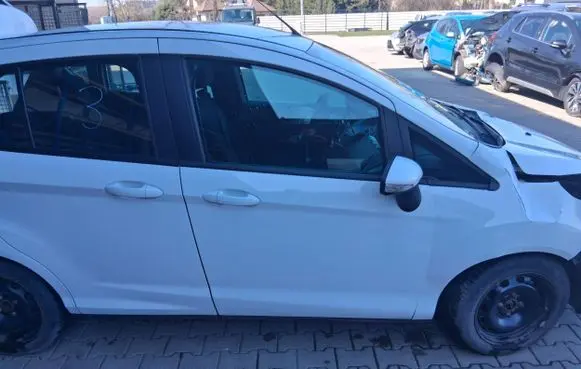 Ford B-MAX Front door