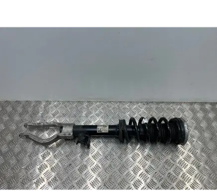 BMW iX Front shock absorber with coil spring 6891993
