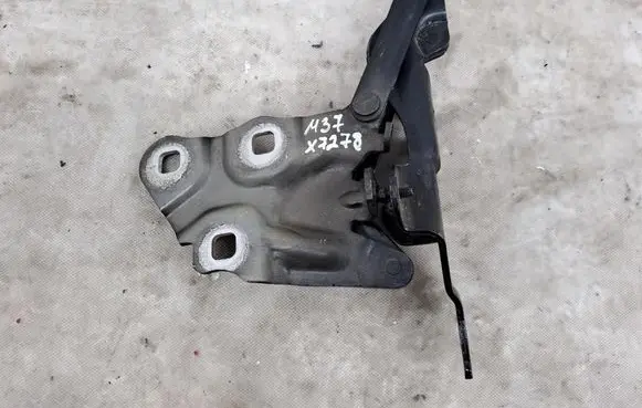 BMW X3 F25 Tailgate/trunk/boot hinge 7210730