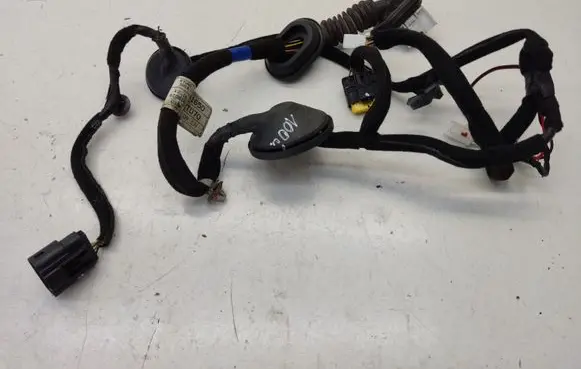 Rear door wiring loom