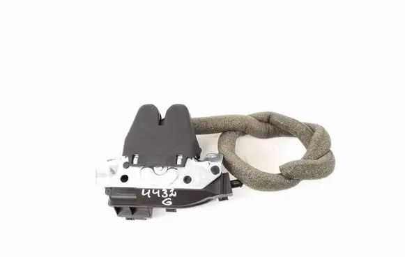 Loading door lock