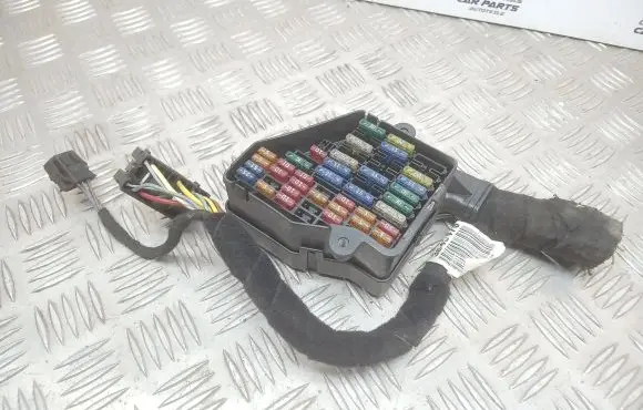 Volkswagen PASSAT B5.5 Fuse module