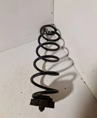 Rear coil spring