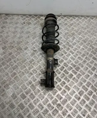 Suzuki Vitara (LY) Front shock absorber with coil spring 4160254PA