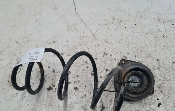Nissan Juke I F15 Front coil spring