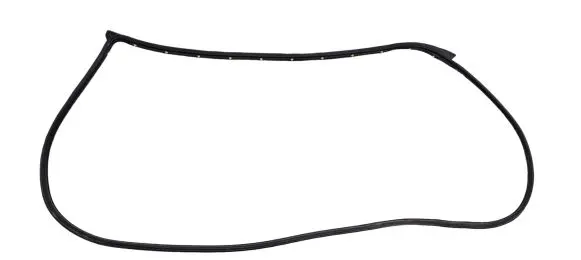 Ford Ranger Rubber seal front door (on door) 1E211113NTRG V32NA 375DY04