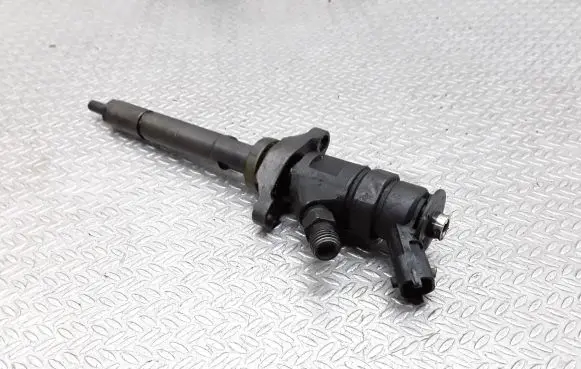 Citroen C4 I Picasso Fuel injector 0445110297