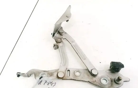 Volvo S60 Tailgate/trunk/boot hinge 30649609