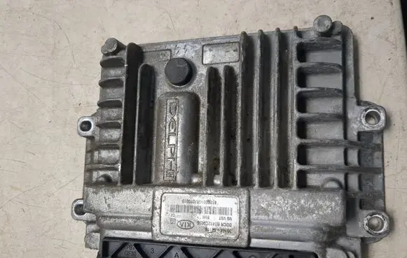 KIA Carens II Engine control unit/module 391044X910 R0412C001G