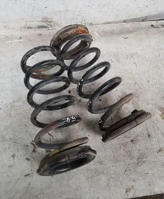 Opel Antara Rear coil spring