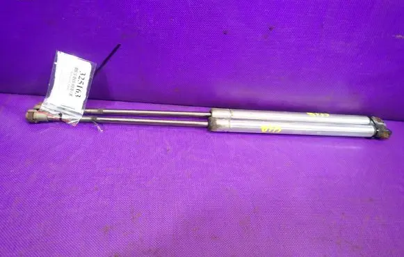 Tailgate strut