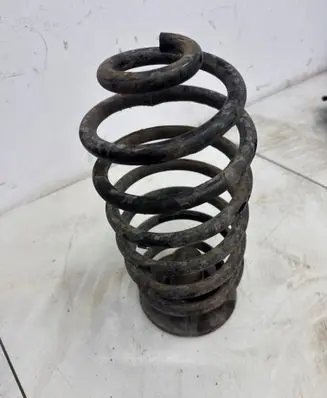 Rear coil spring