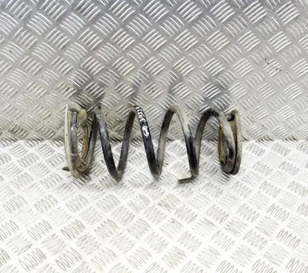 Tesla Model 3 Rear coil spring 104447201E