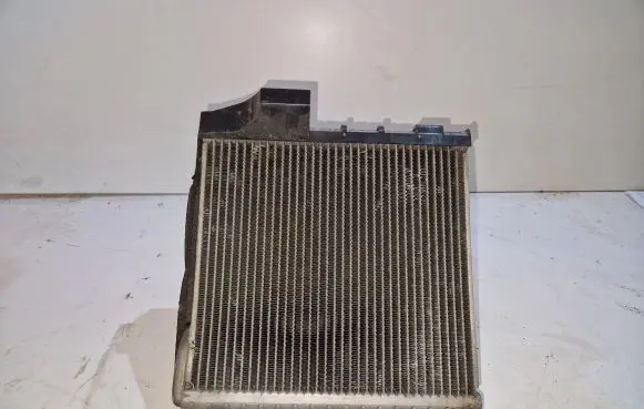 Volkswagen PASSAT B6 Air conditioning (A/C) radiator (interior) 4460103375