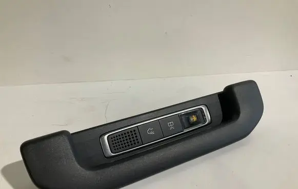 Mercedes-Benz S W222 Rear interior roof grab handle A0009062704 15439094 ZGS002Q02