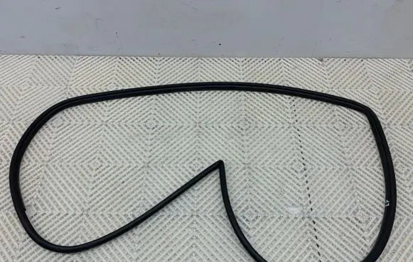 Toyota Camry VIII XV70 Rubber seal front door (on door)