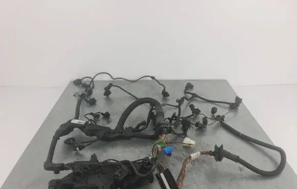Engine installation wiring loom