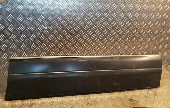 Mercedes-Benz S W140 Front door trim (molding) 1406907240