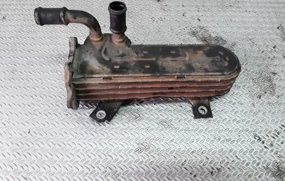 Skoda Octavia Mk2 (1Z) EGR valve cooler 038131513AD