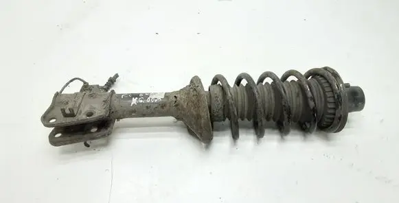 Land Rover Freelander Rear shock absorber with coil spring RPB000040 2190457