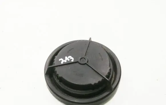 Headlight/headlamp dust cover