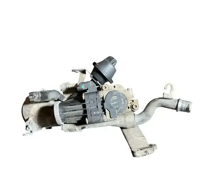 Ford Focus EGR valve 702209080