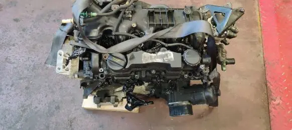 Ford Focus Engine G8DB