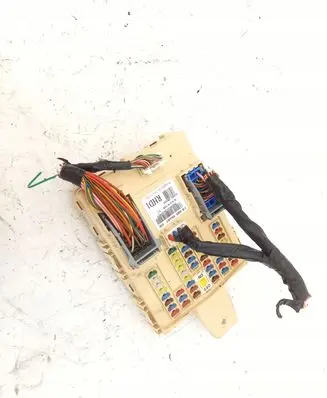 Hyundai Santa Fe Fuse module 919502W530