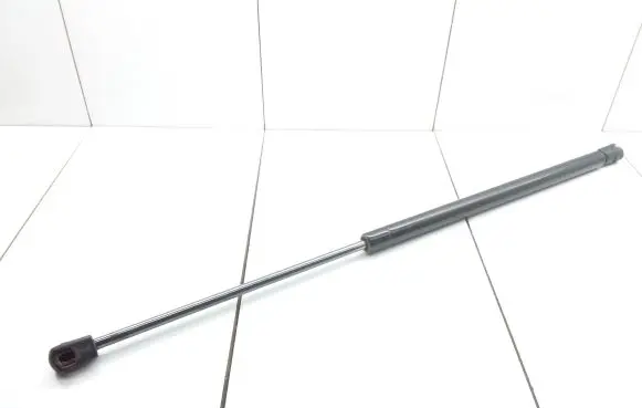 Tailgate/trunk strut/damper