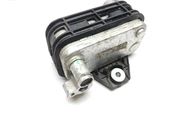 Renault Kangoo II Electric car engine cooler 1902220648