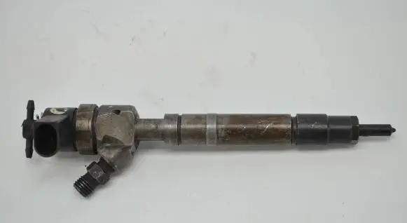 Mercedes-Benz S W220 Fuel injector 0966135066 A6130700587