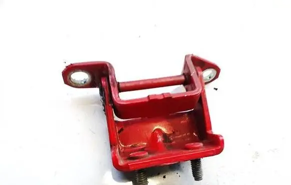 Rear door lower hinge