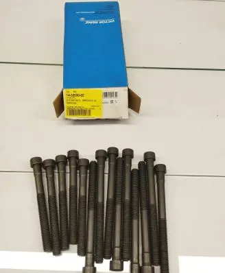 Mercedes-Benz S W126 Cylinder head bolts 6159900212 6159900312 14-32030-02