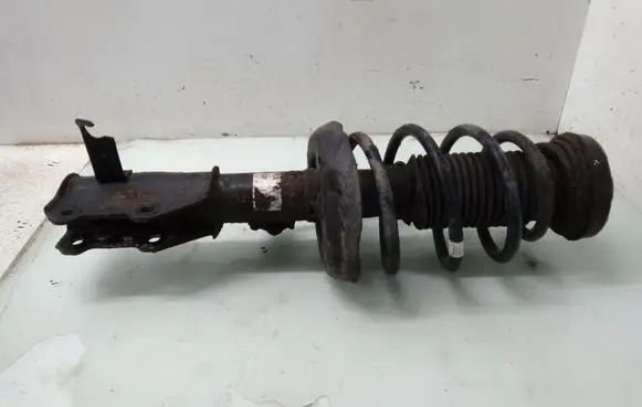 Opel Insignia A Front shock absorber with coil spring 