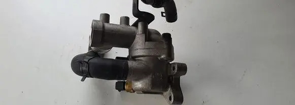 Thermostat/thermostat housing