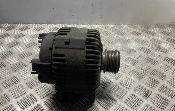Volkswagen PASSAT B6 Generator/alternator 021903026L
