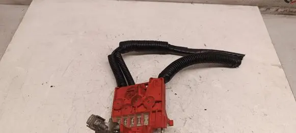 Positive wiring loom