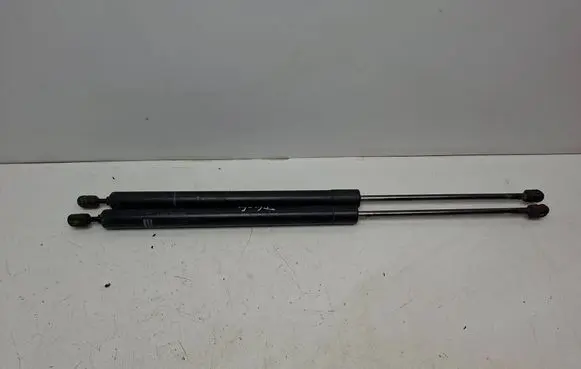 Tailgate/trunk strut/damper