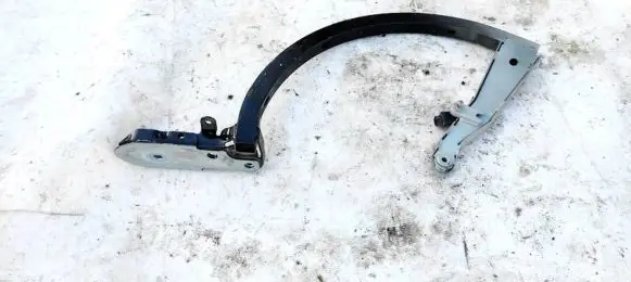 Tailgate/trunk/boot hinge
