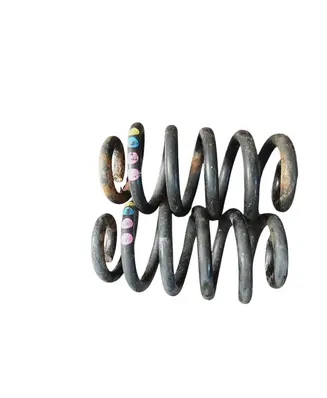 Rear coil spring