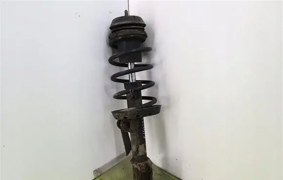 Opel Astra G Front shock absorber with coil spring 22195354